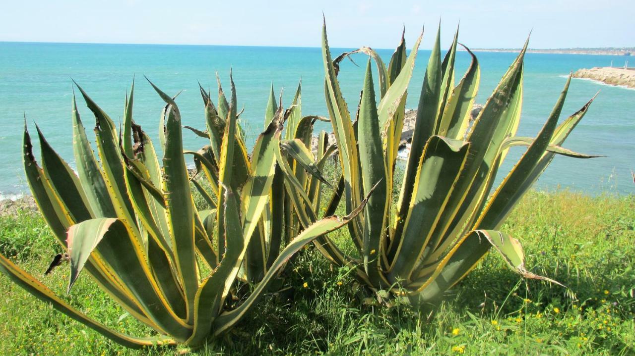 Sapori Di Mare Apartamento Trappeto  Exterior foto