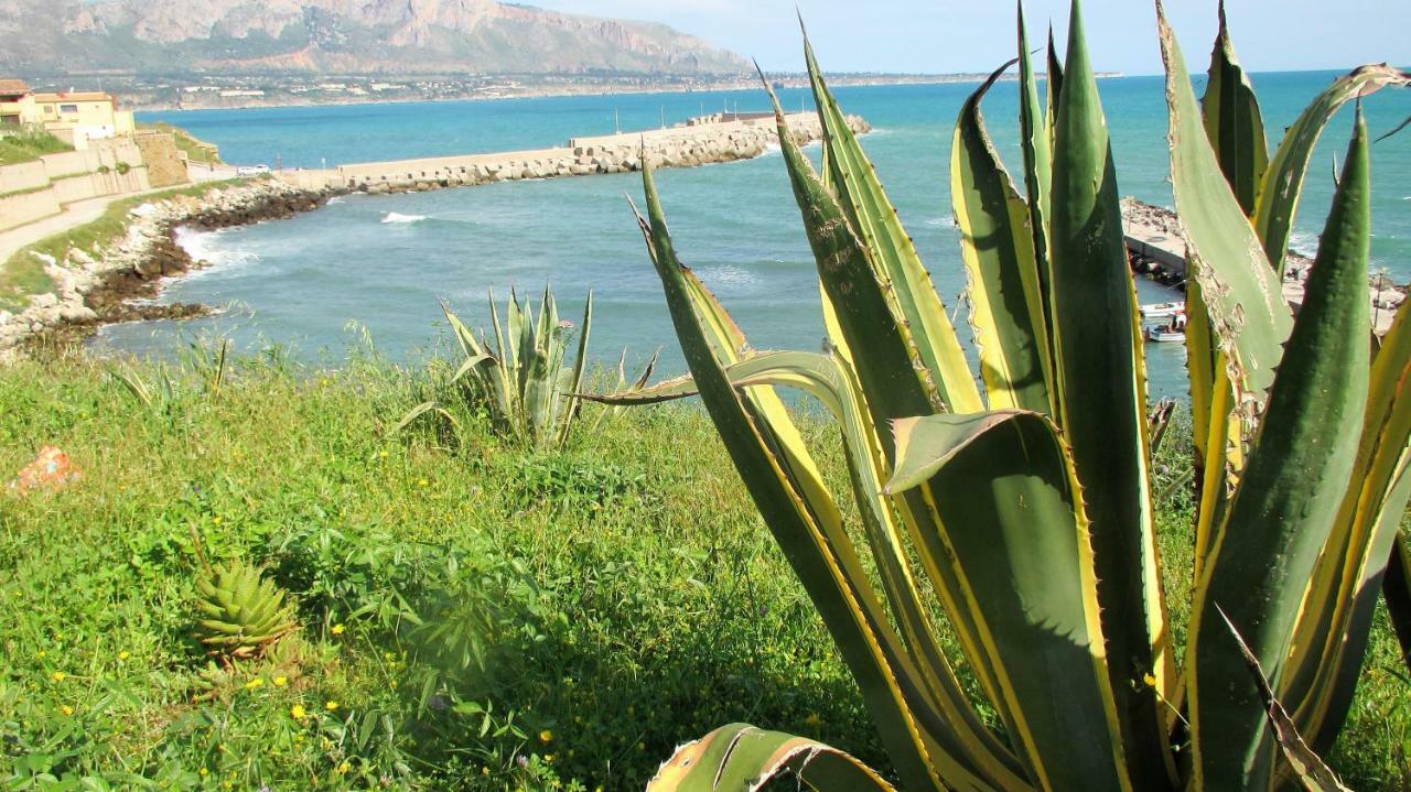 Sapori Di Mare Apartamento Trappeto  Exterior foto