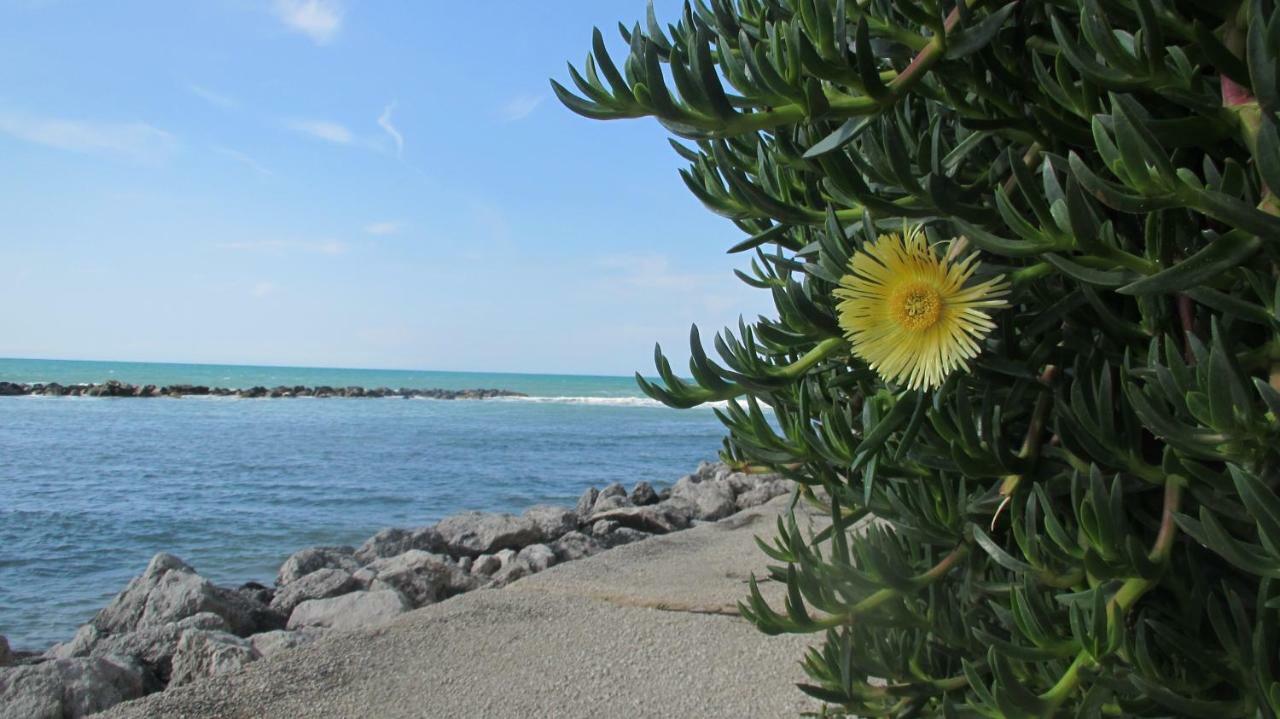 Sapori Di Mare Apartamento Trappeto  Exterior foto
