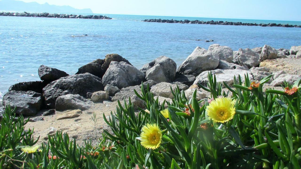 Sapori Di Mare Apartamento Trappeto  Exterior foto